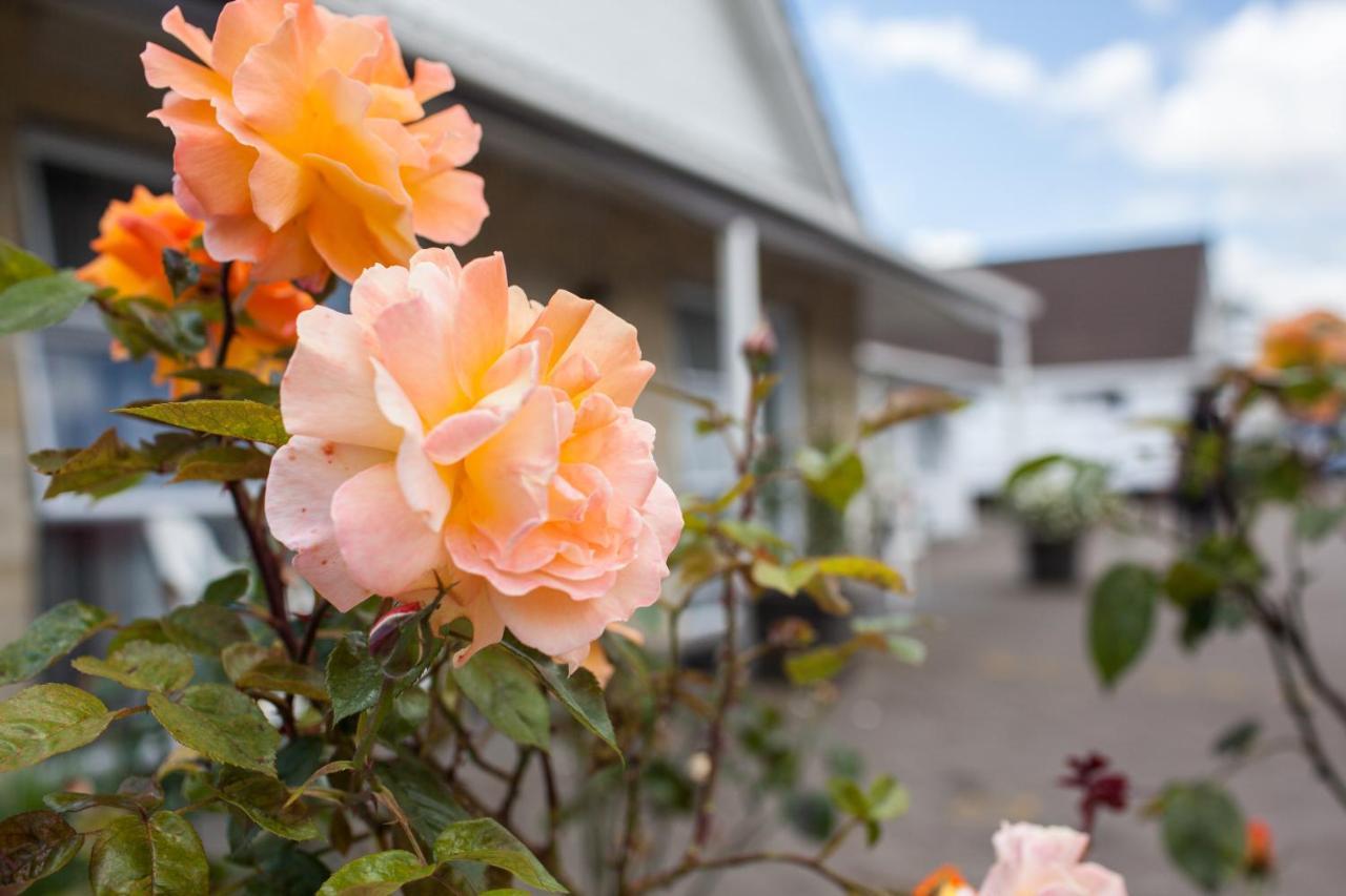 Rose Court Motel Rotorua
